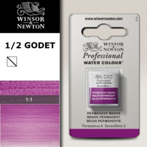 491 - Malva permanente 1/2 Godet Acquerello Professional Winsor e Newton