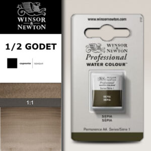 609 - Seppia 1/2 Godet Acquerello Professional Winsor e Newton