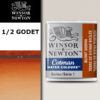 074 - Terra di Siena bruciata 1/2 Godet Acquerello Cotman Winsor e Newton