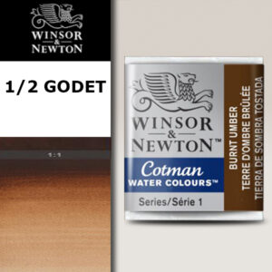 076 - Terra d'ombra bruciata 1/2 Godet Acquerello Cotman Winsor e Newton