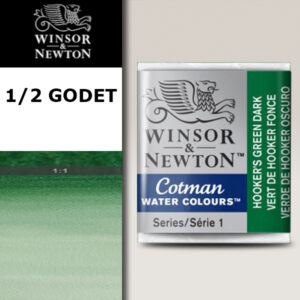 312 - Verde di Hooker scuro 1/2 Godet Acquerello Cotman Winsor e Newton