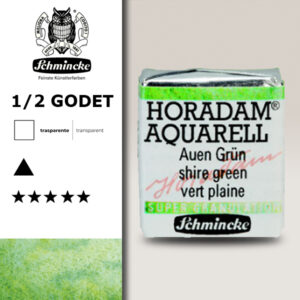933 - Verde Palude Acquerello 1/2 Godet Horadam Supergranulation Schmincke