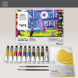 Tate Collection Acrilici Galleria 10 Tubi da 20 ML + Pennelli + Blocco Winsor e Newton